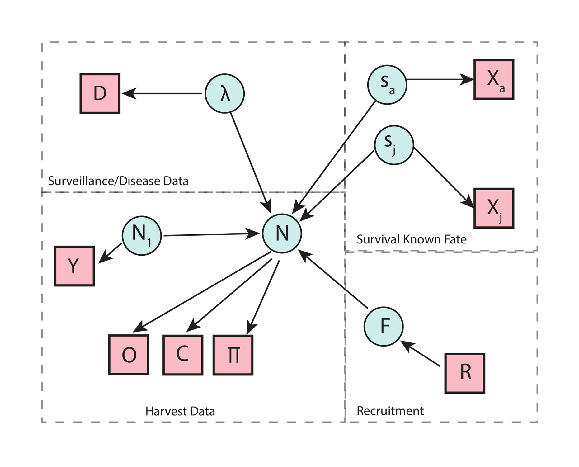 Profile-likelihood curves comparing sharply identified and weakly identified density-feedback regimes.